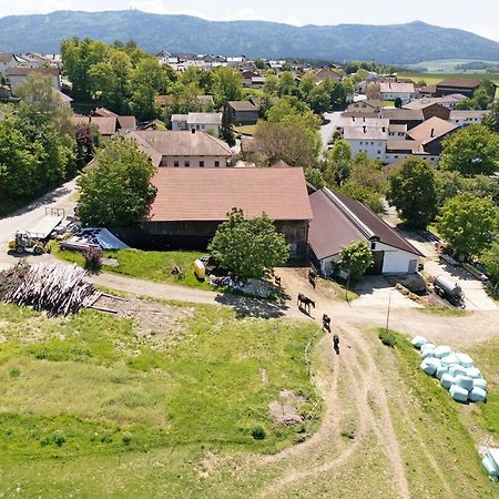 Ferienhof Schuetz Eschlkam Esterno foto